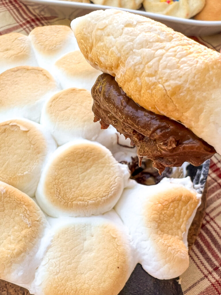 A scoop of chocolate peanut butter dip and toasted marshmallow. 