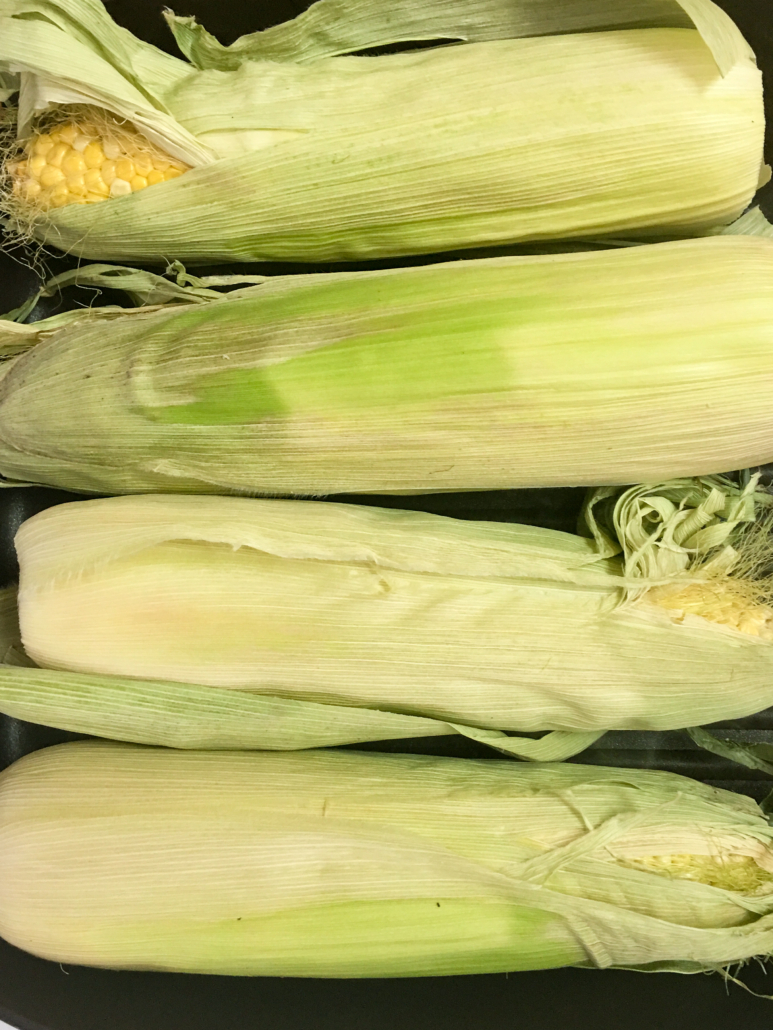 Fresh corn in husks have been trimmed for roasting on a grill.