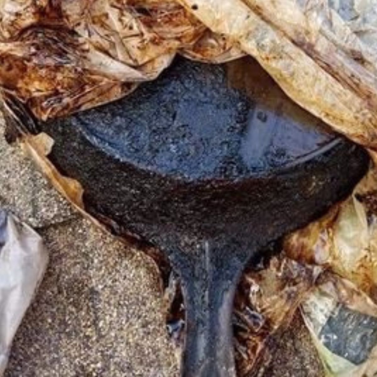 A cast iron skillet that needs to be stripped with oven cleaner.