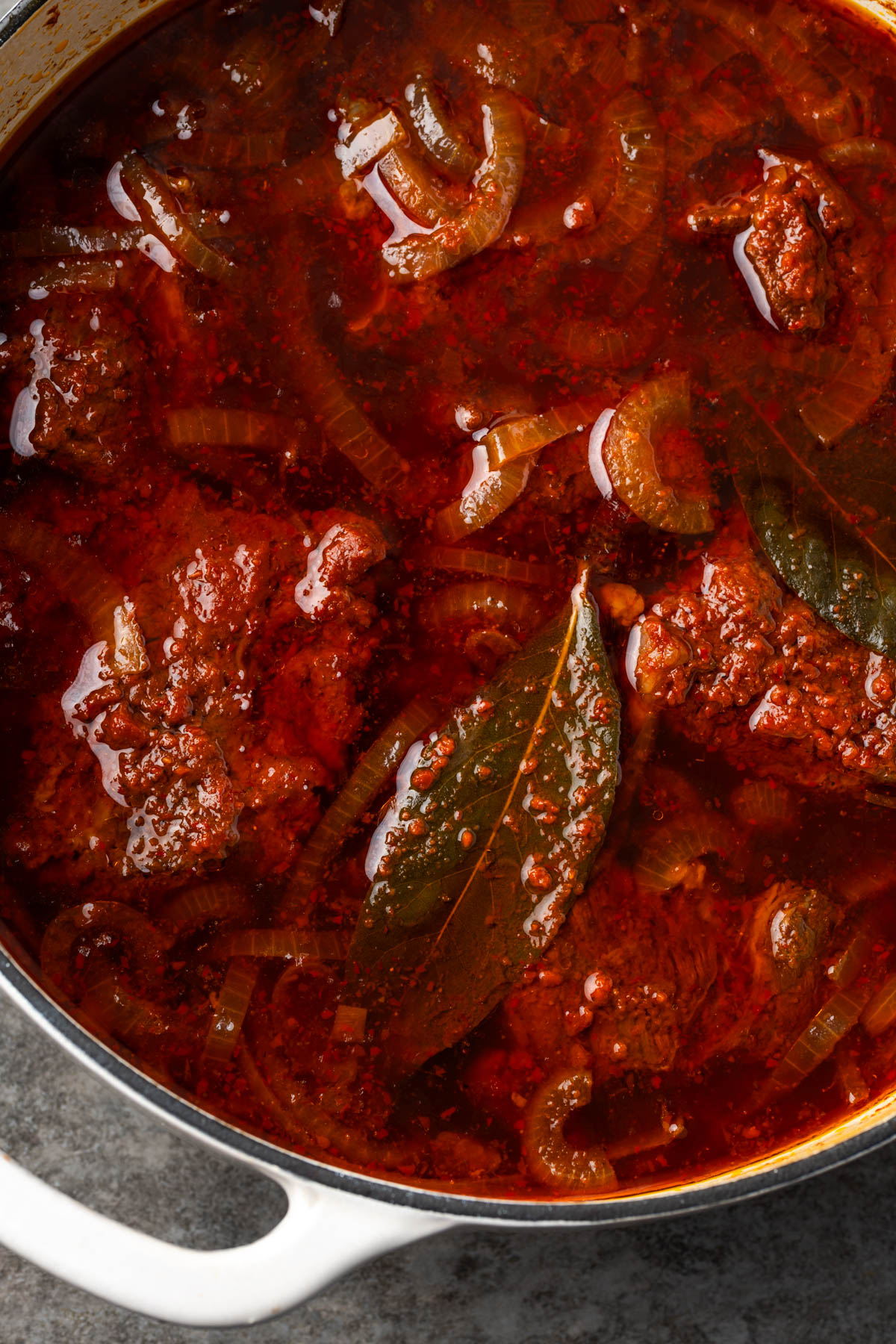 Dutch Oven Beef Birria