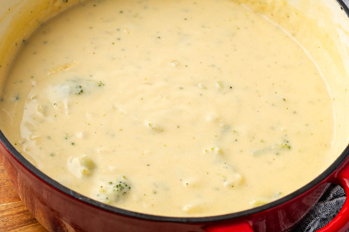 Seasonings added to the soup and ready to serve.