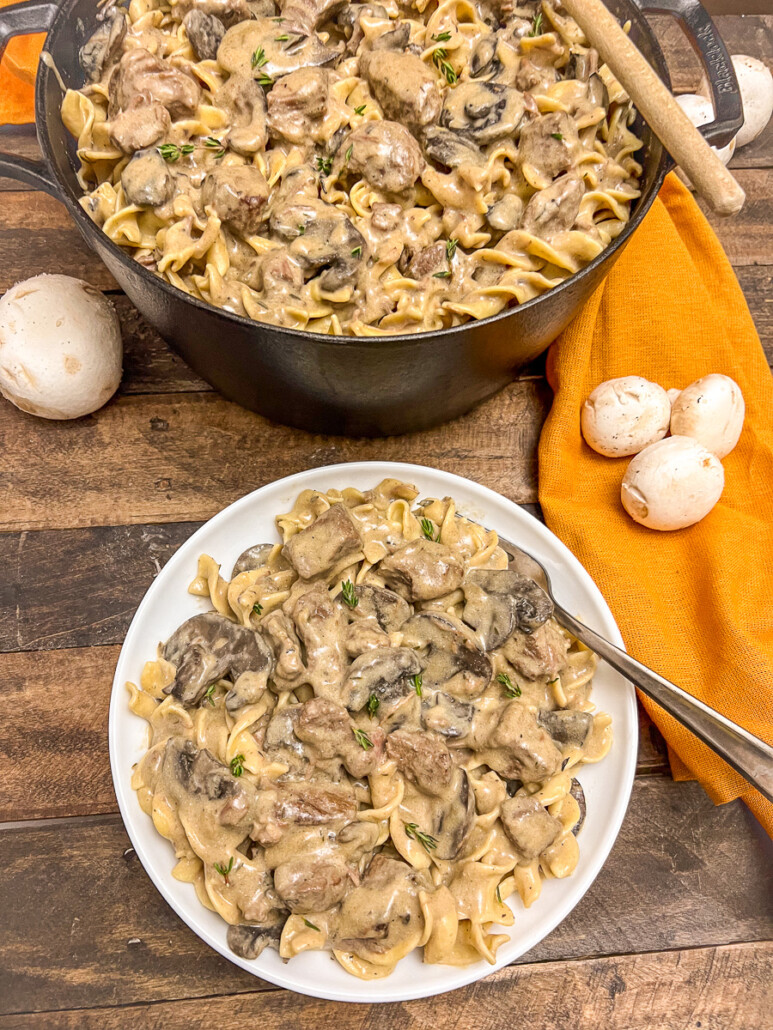 A plate of beef stroganoff with more in a Dutch oven in the background.