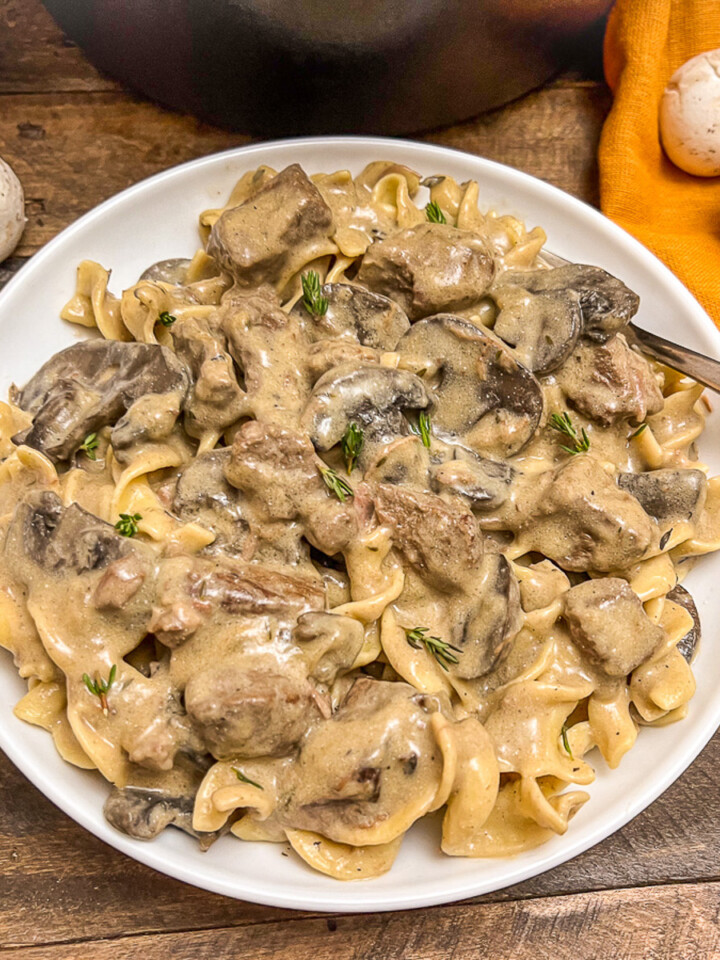 Dutch oven beef stroganoff served up on a white plate.