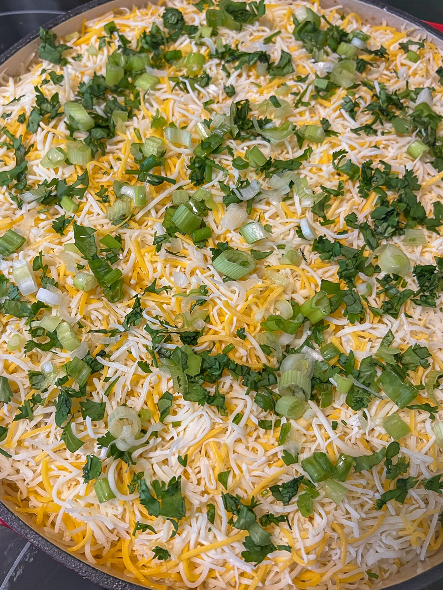 Freshly chopped cilantro and green onions sprinkled on the top.