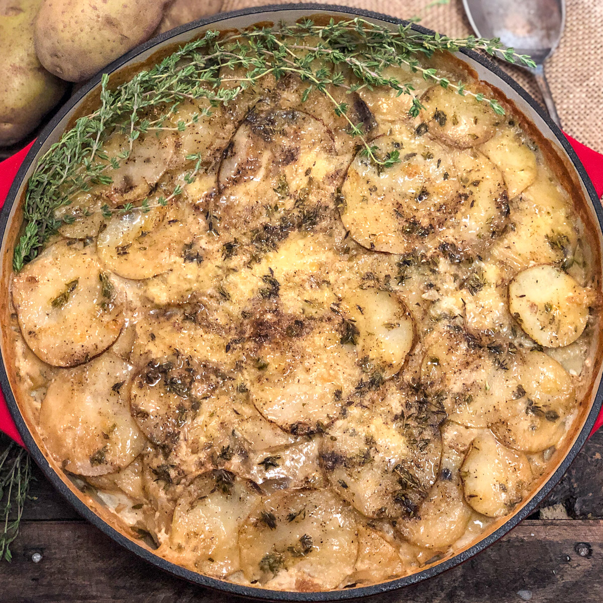 Skillet Scalloped Potato Gratin garnished with fresh thyme.