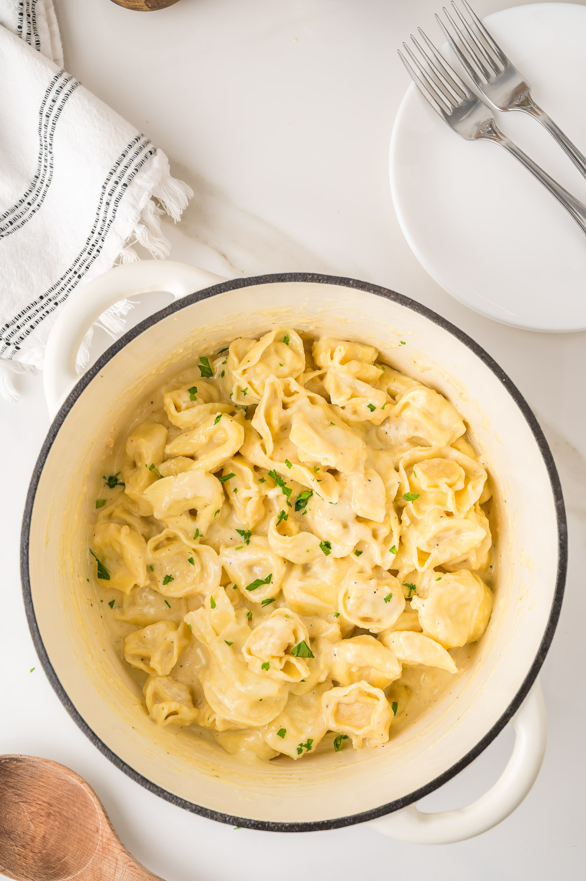 Finished alfredo tortellini coated in creamy parmesan sauce garnished with parsley