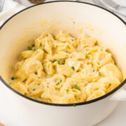 Creamy alfredo tortellini recipe with parmesan sauce