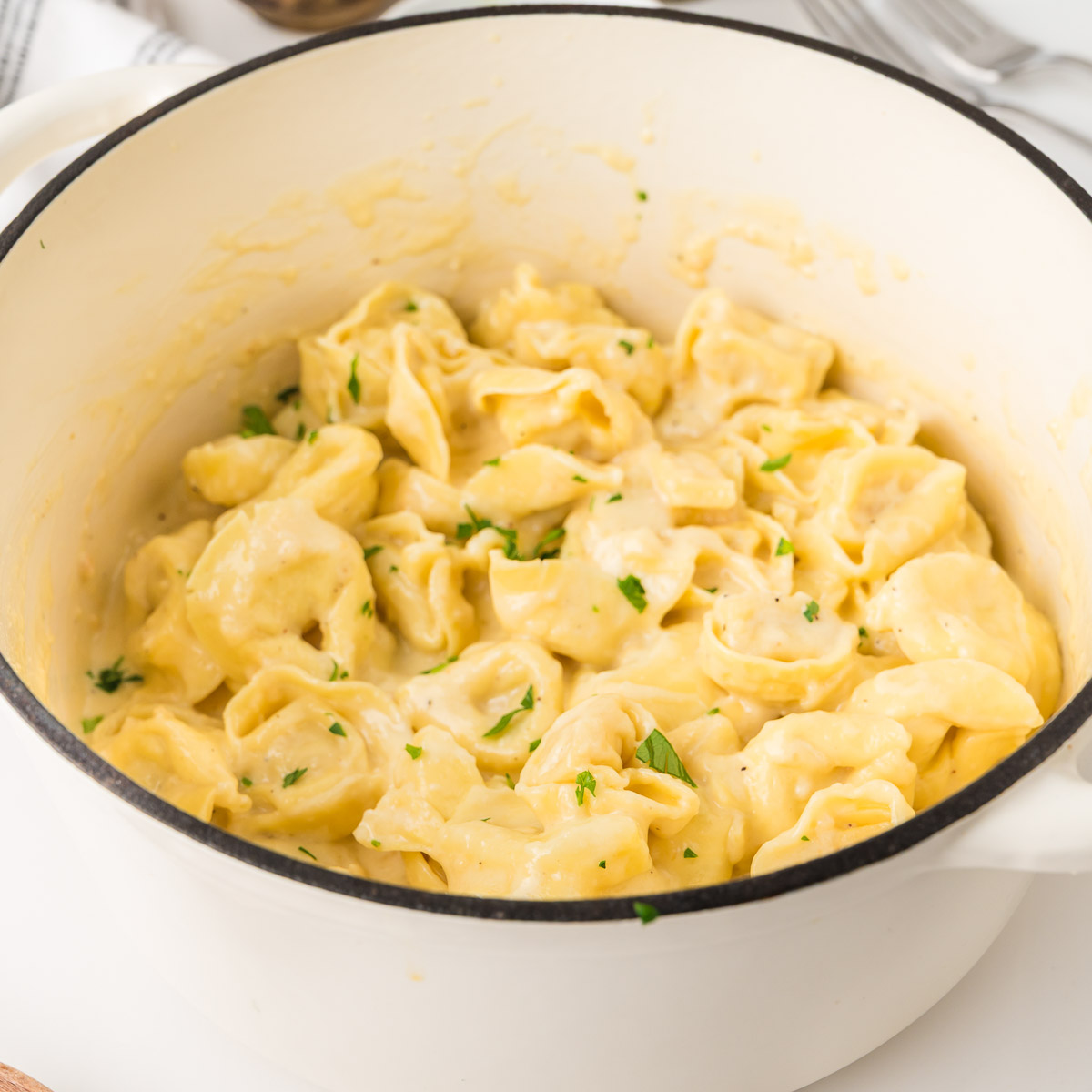 Creamy alfredo tortellini recipe with parmesan sauce