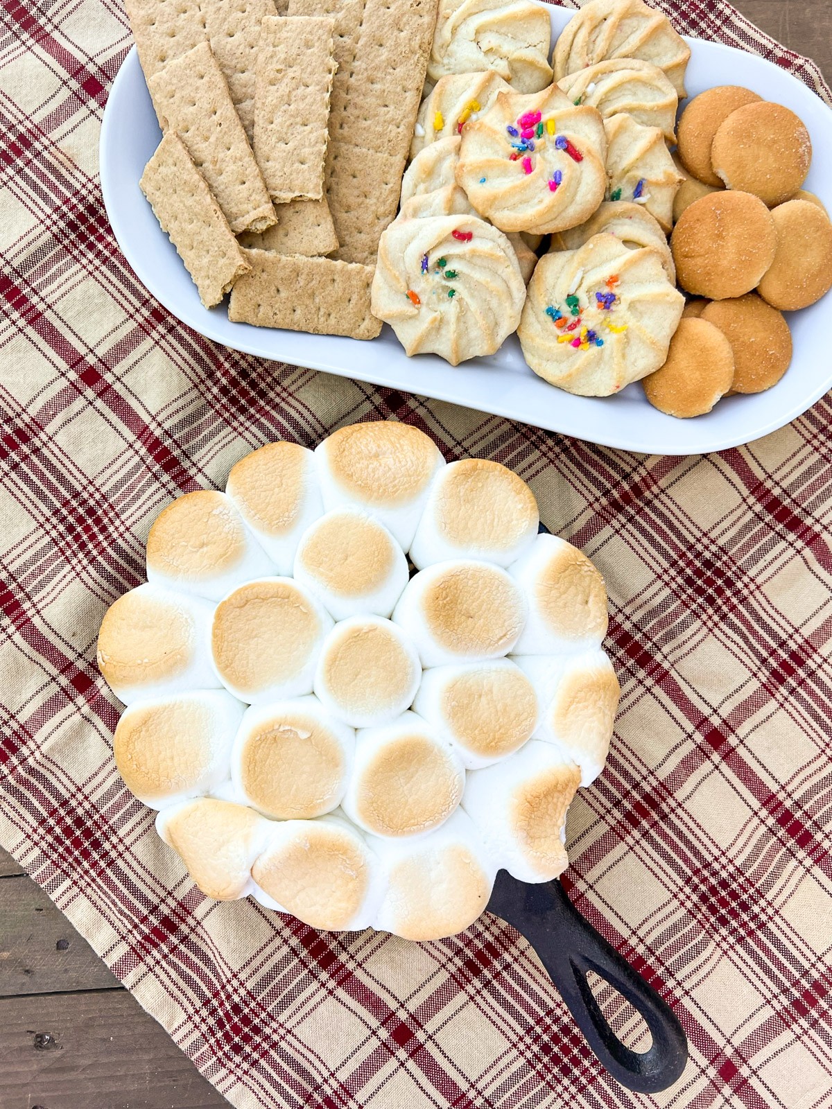 Branded image of Chocolate Peanut Butter dip topped with roasted marshmallows and a plate of various cookies in the background.