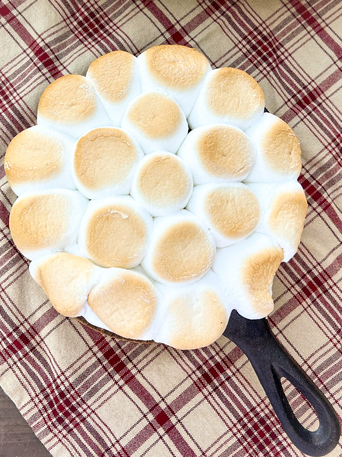 A scoop of chocolate peanut butter dip and toasted marshmallow.