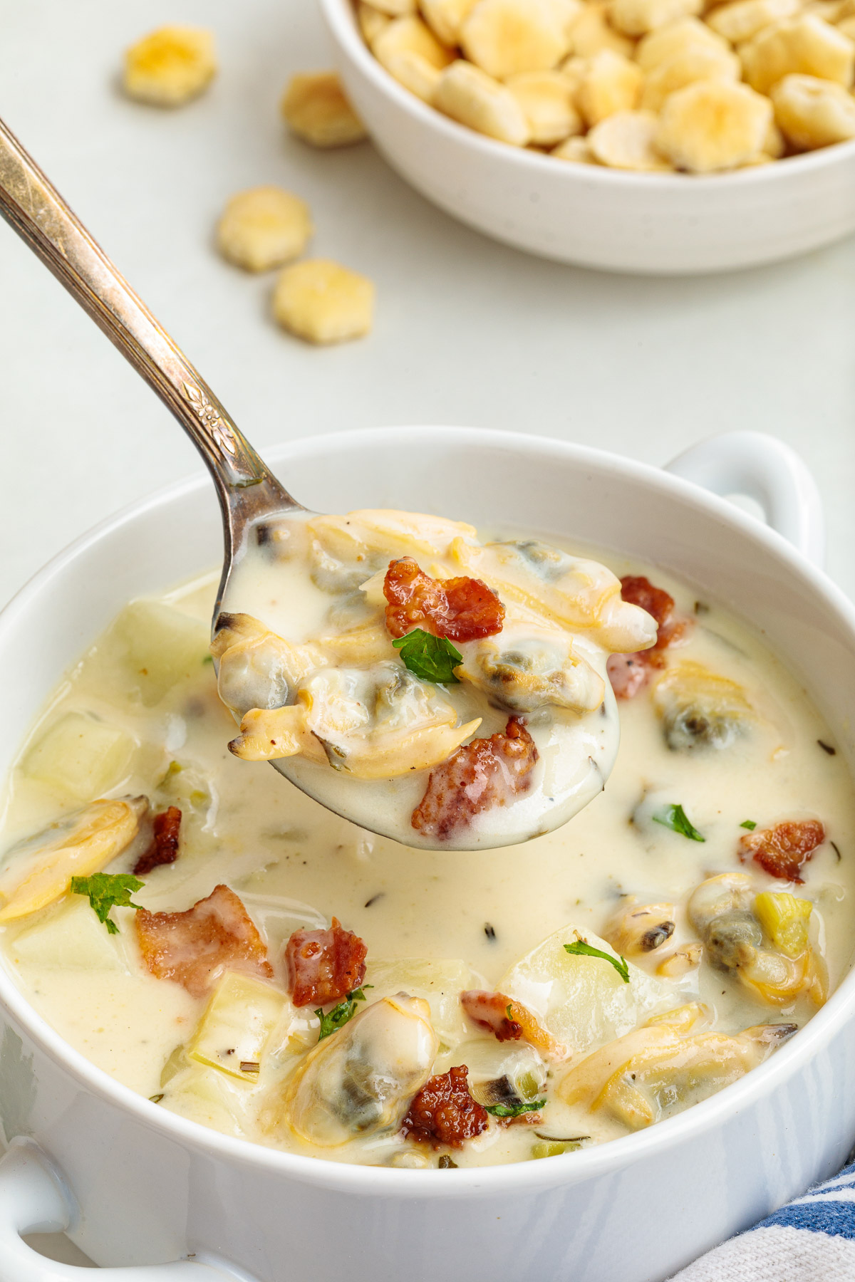 A bowl of New England clam chowder from scratch with a spoonful held over the bowl.