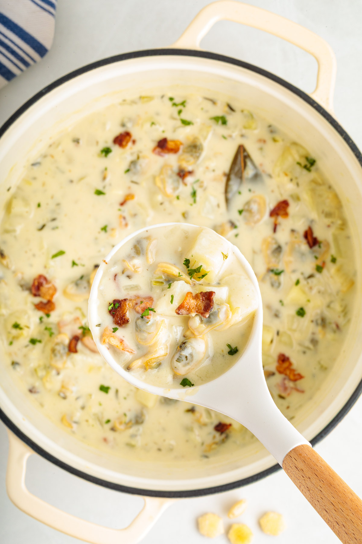 A pot of New England clam chowder with a full ladle lifting from the pot.