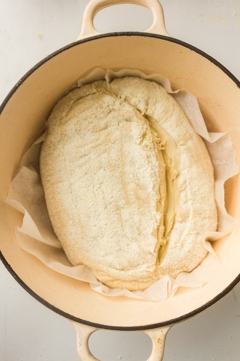 Step 7 loaf to be baked in a Dutch Oven.