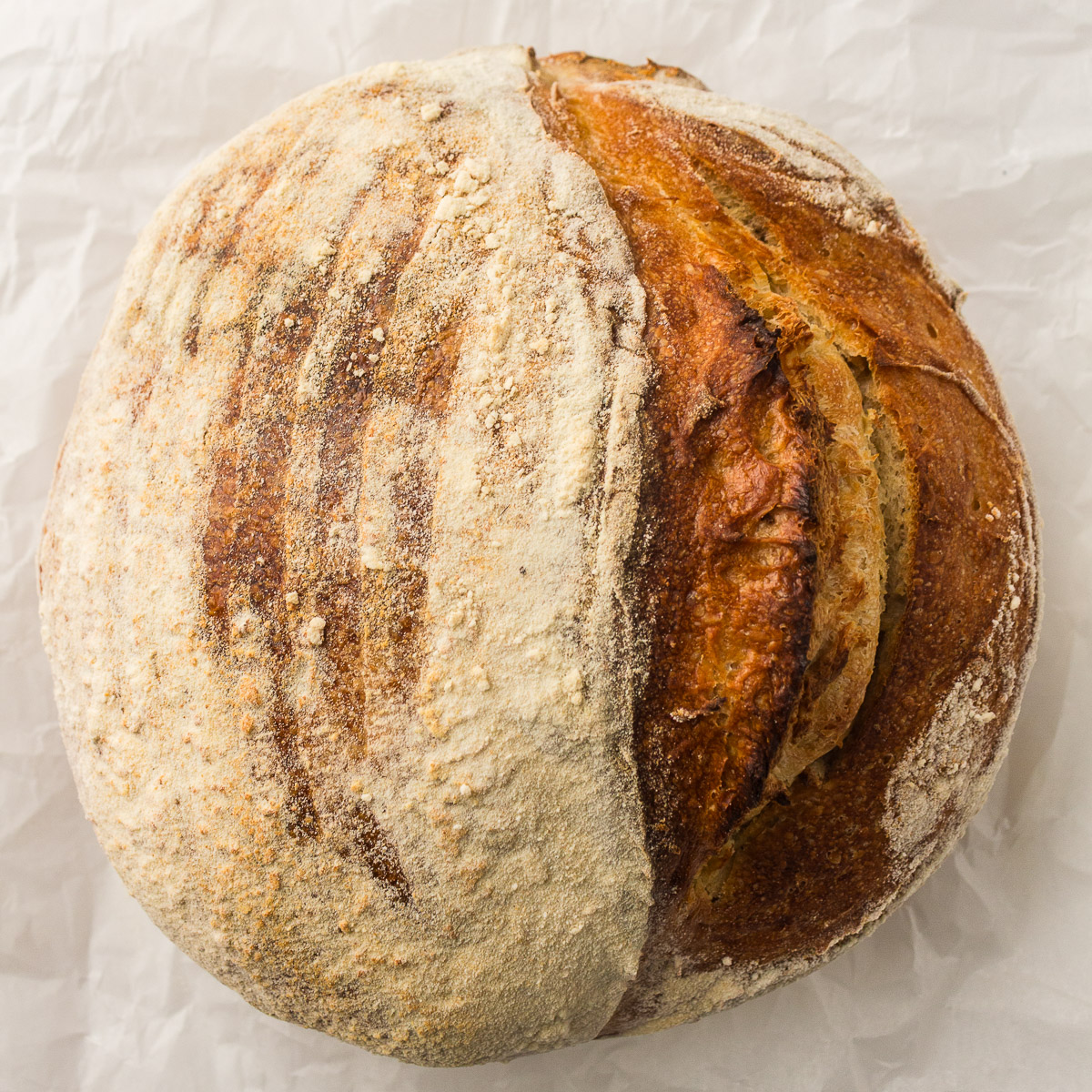 Dutch Oven Sourdough loaf ready to be sliced.