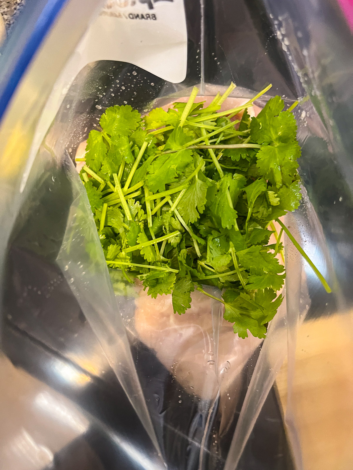Fresh cilantro being added to chicken breasts in a zip-seal bag for tequila lime chicken marinade