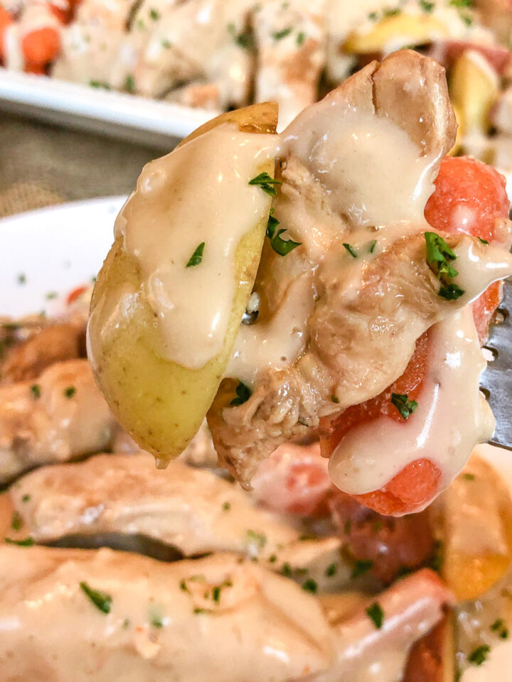 Speared chicken, carrot, and potato wedge covered in gravy on a fork.