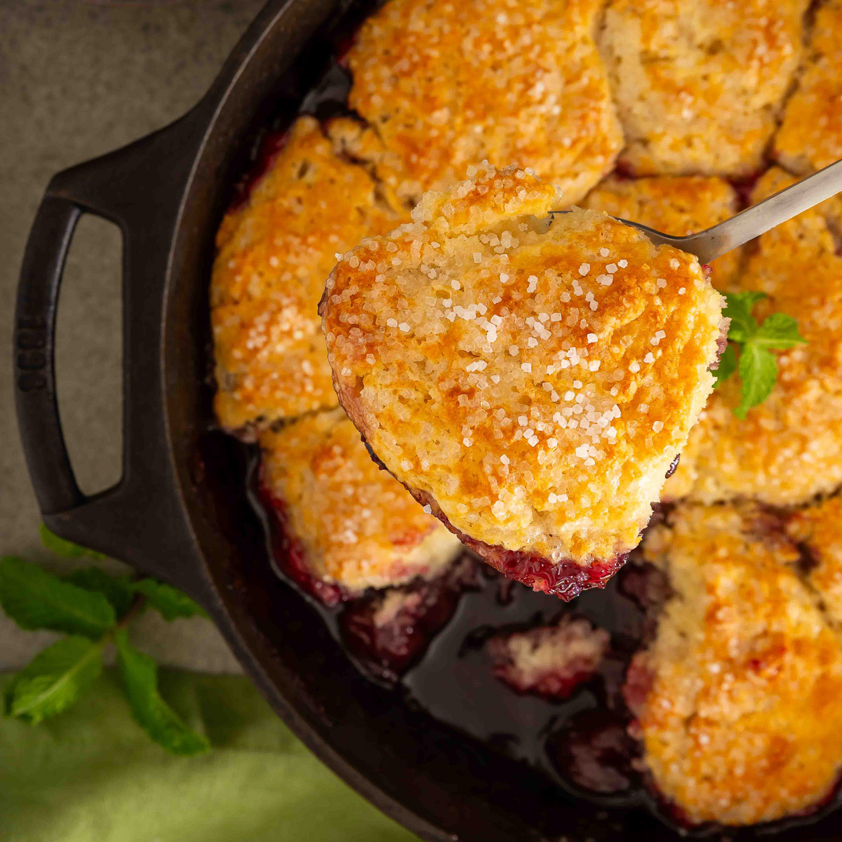 Cast iron cherry cobbler with a golden biscuit topping in a skillet