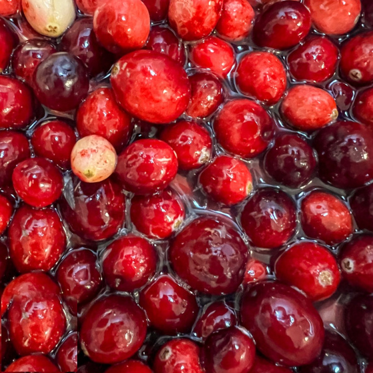 Orange juice and water added to cranberries in a Dutch oven.