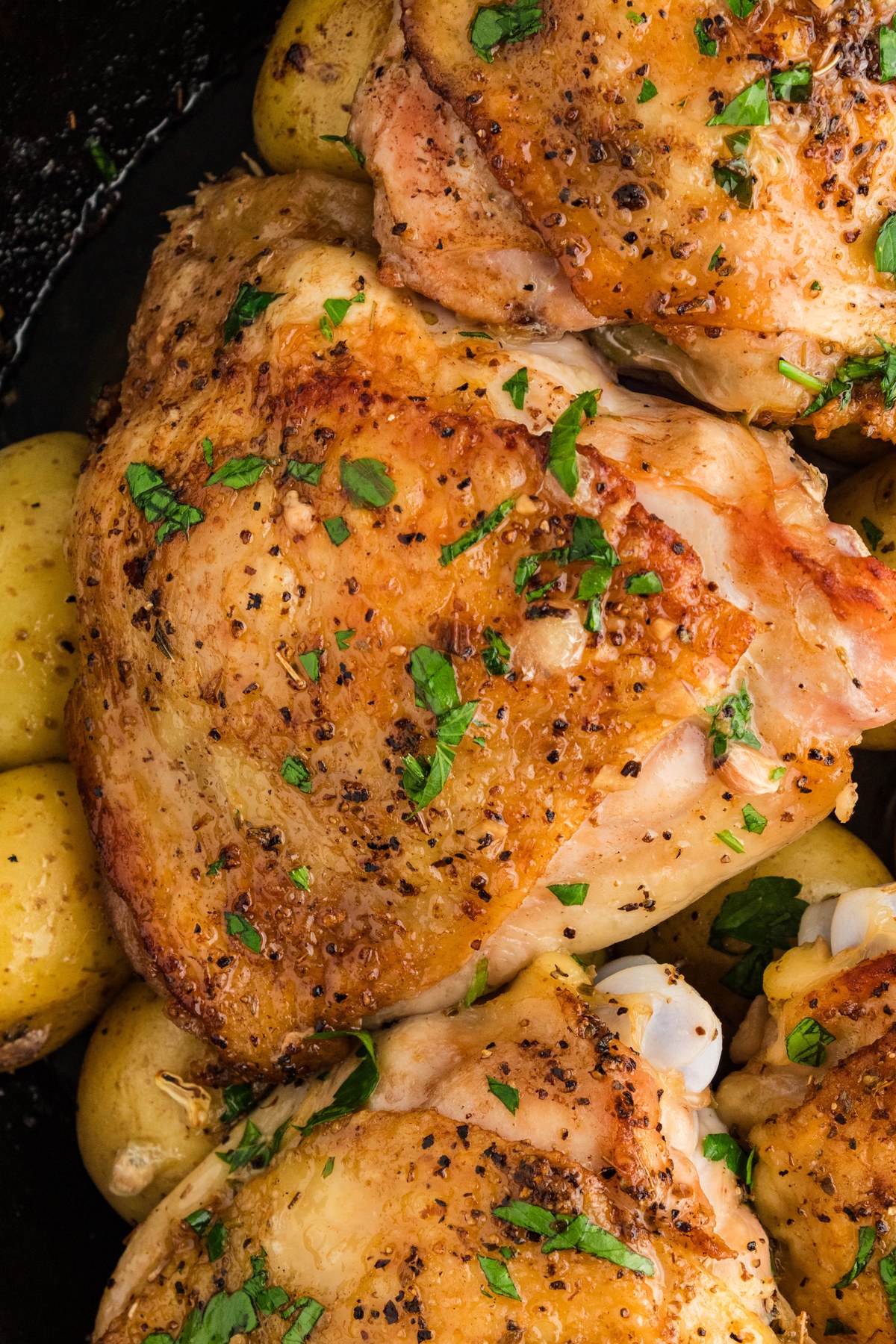 Close up of crispy skin Greek lemon chicken thigh with baby potatoes