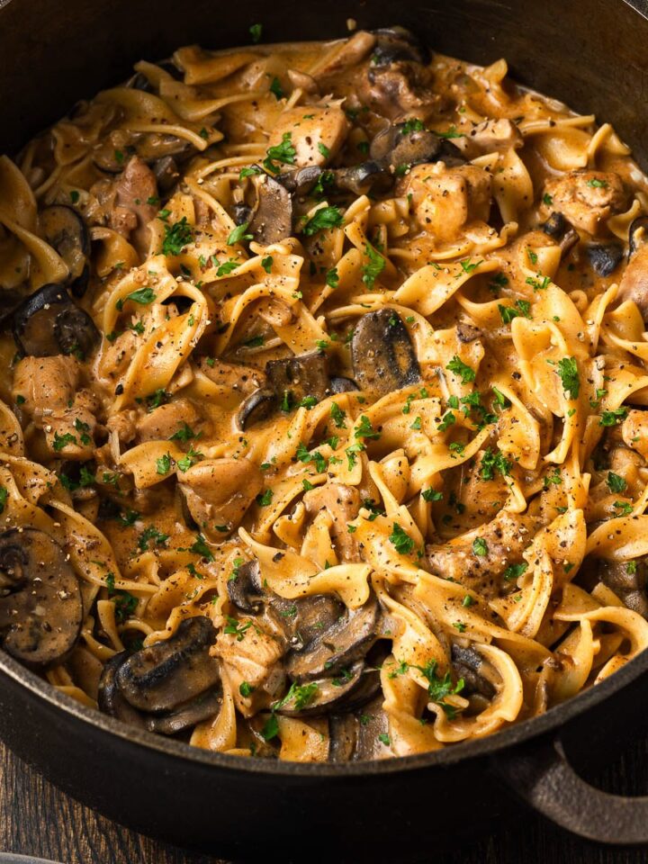 Cast iron Dutch oven of chicken stroganoff with egg noodles and mushrooms