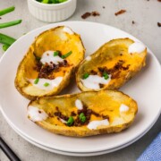 Plate of crispy potato skins with cheddar, bacon, sour cream and green onions